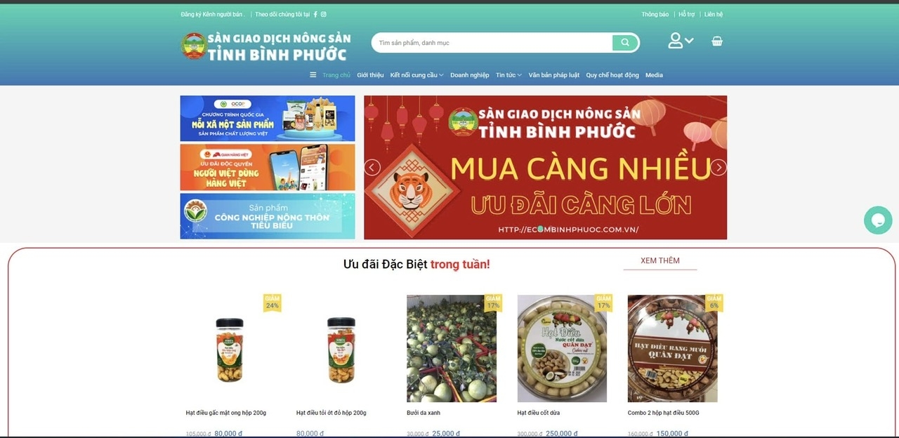 Tăng cường quản lý kinh doanh trực tuyến, thương mại điện tử