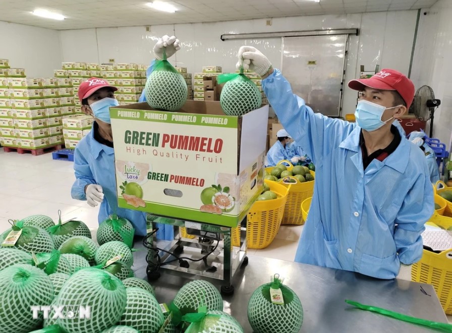 Trái cây Việt ngày càng rộng cửa vào thị trường Đông Bắc Á