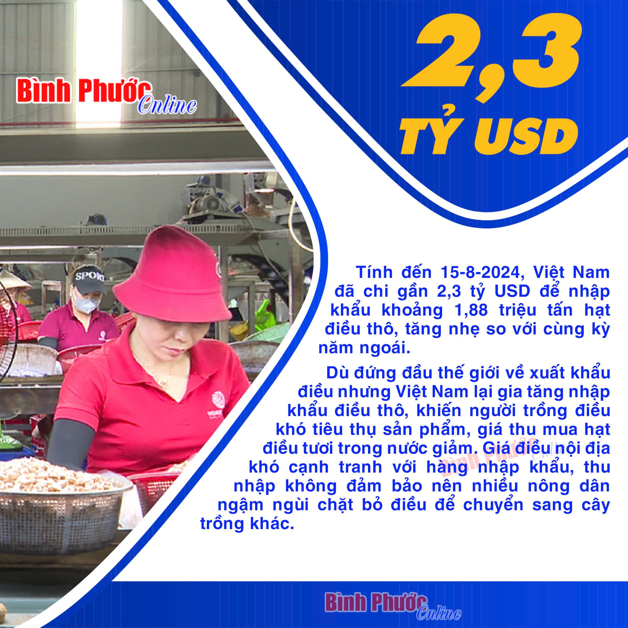 Việt Nam chi gần 2,3 tỷ USD mua hạt điều