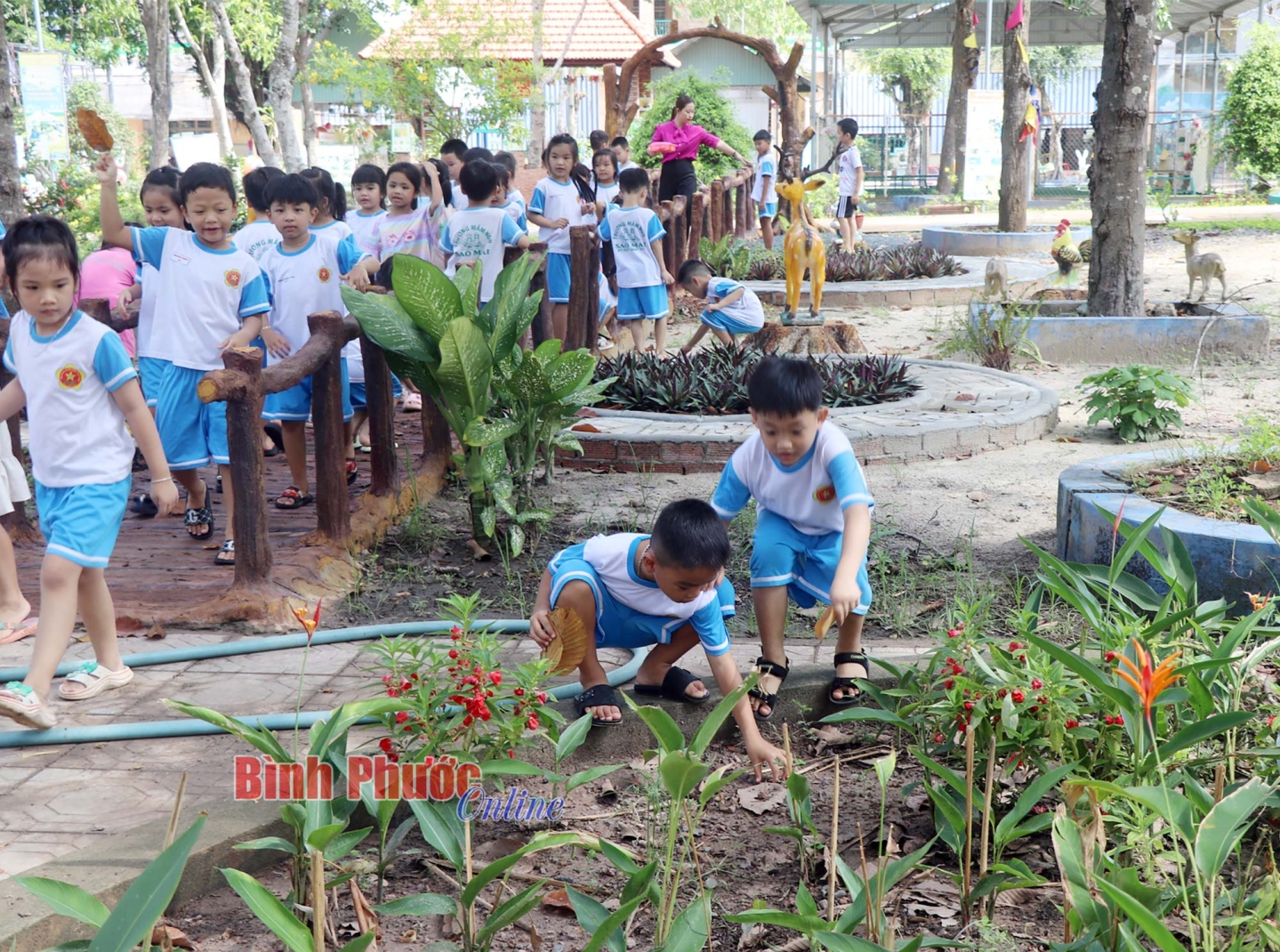 Xử lý nghiêm trường hợp làm giả văn bằng, chứng chỉ