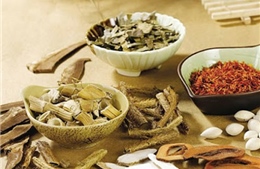 Y học cổ truyền Việt Nam tỏa sáng tại Hội thảo quốc tế ở Italy 