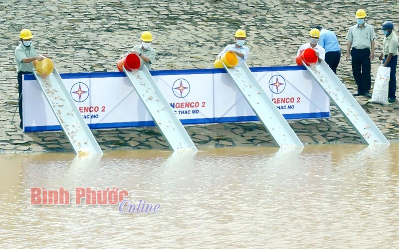 27,8 tỷ đồng phát triển thủy sản trên địa bàn Bình Phước đến năm 2030