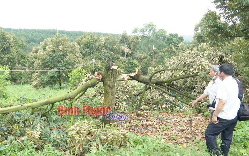 Bình Phước: 9 tháng, thiệt hại khoảng 35 tỷ đồng do thiên tai 