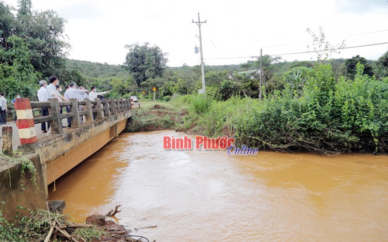 Bù Gia Mập nỗ lực khắc phục khó khăn, thực hiện hiệu quả phòng chống thiên tai