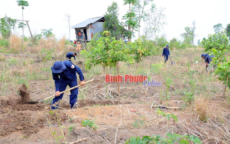 Đến 2030, tìm kiếm, quy tập khoảng 15.000 hài cốt liệt sĩ