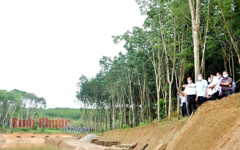 Đến quý 2/2022 sẽ khởi công Dự án tăng cường khả năng thoát lũ suối Rạt