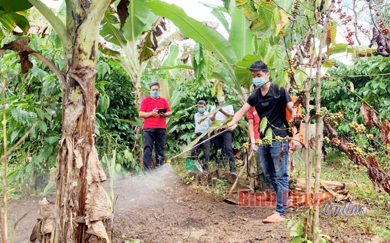 Dịch chồng dịch - người chăn nuôi gặp khó - Bài cuối