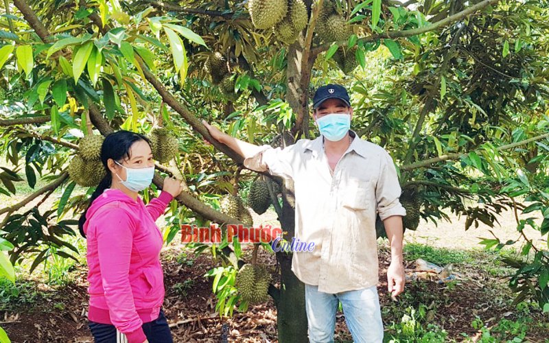 Điểm tựa cho phụ nữ nông thôn trong đại dịch