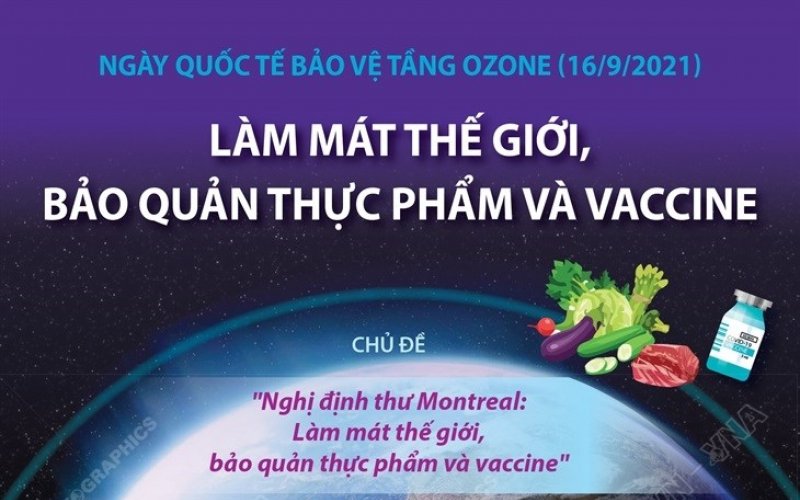 Ngày Quốc tế bảo vệ tầng ozone: Làm mát thế giới, bảo quản thực phẩm