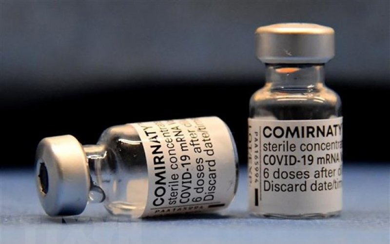 Pfizer hy vọng có vaccine cho trẻ từ 5-11 tuổi sớm nhất vào cuối Thu