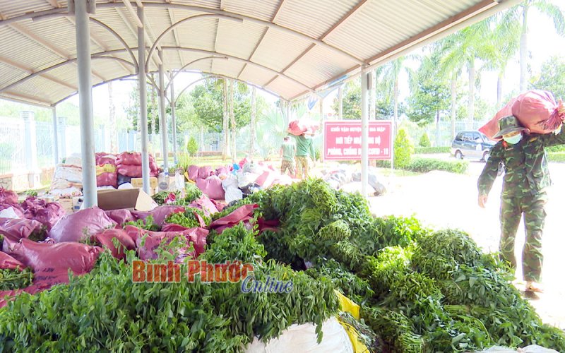 “Tất cả vì miền Nam ruột thịt, vì TP. Hồ Chí Minh”