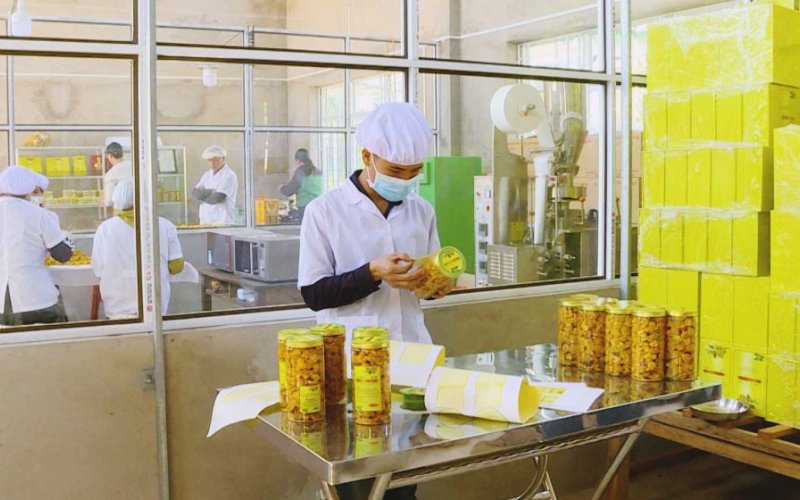 Thúc đẩy công nghiệp chế biến nông sản