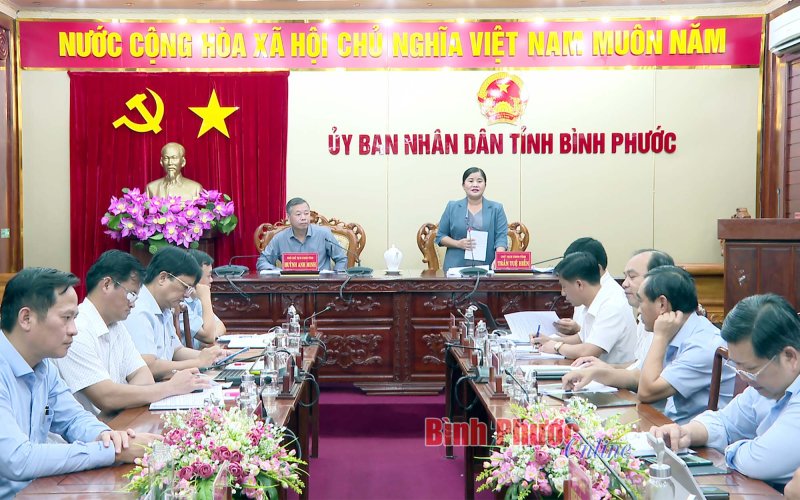 Bàn phương án, kế hoạch đầu tư dự án đường cao tốc Bắc Nam đoạn Gia Nghĩa - Chơn Thành