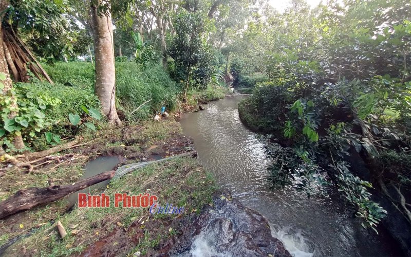 Bình Phước: Phát hiện thi thể người đàn ông đang phân hủy dưới suối