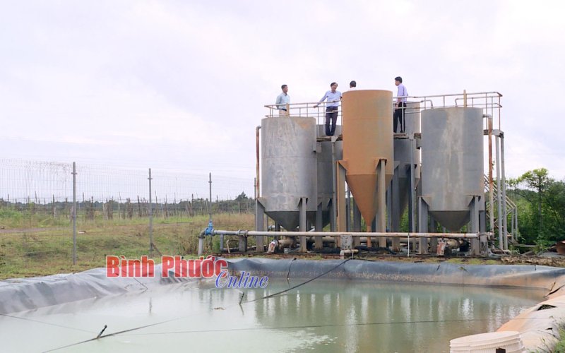 Bình Phước: Gỡ khó để doanh nghiệp có vốn nhà nước hoạt động hiệu quả 