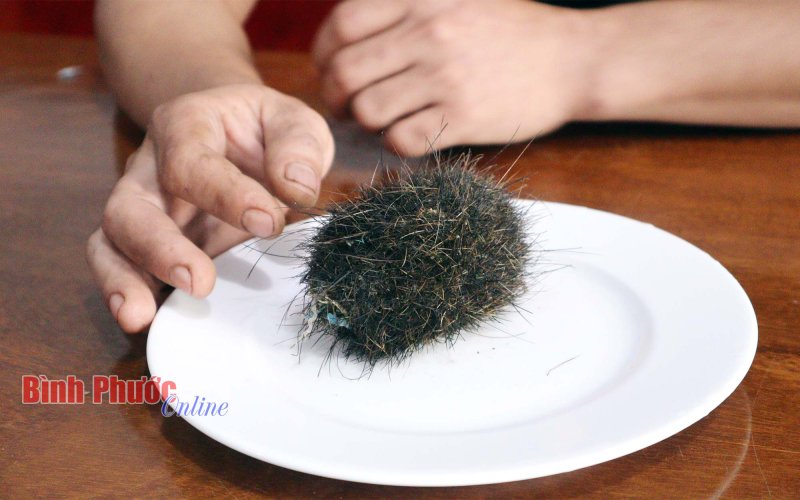 Bình Phước: Người dân phát hiện cát lợn quý hiếm 