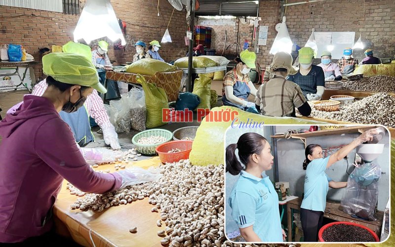 Chất lượng thực từ sản phẩm OCOP