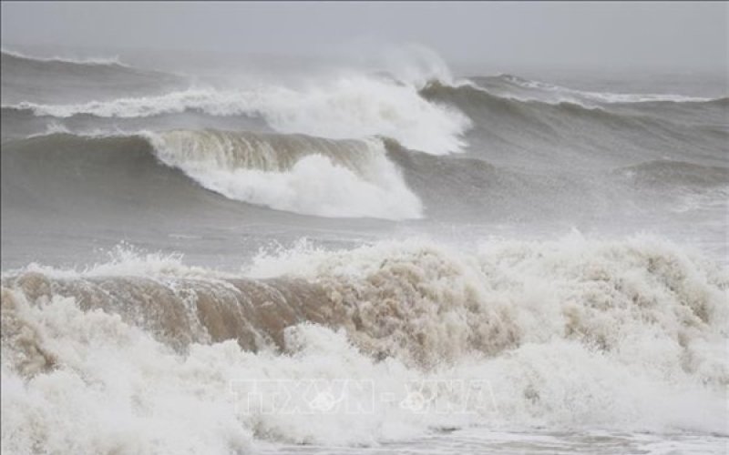 Chủ động ứng phó với áp thấp nhiệt đới có khả năng mạnh lên thành bão
