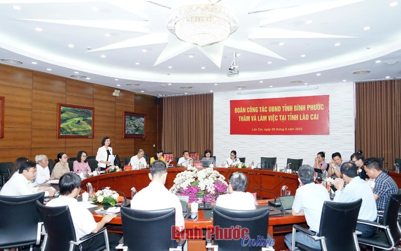 Lào Cai - Bình Phước: Chia sẻ kinh nghiệm xây dựng cơ chế tự chủ, đặt hàng thông tin - tuyên truyền