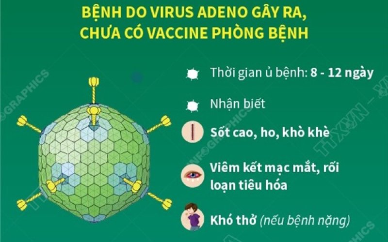 Nhận biết trẻ em mắc virus Adeno v&agrave; c&aacute;ch ph&ograve;ng tr&aacute;nh