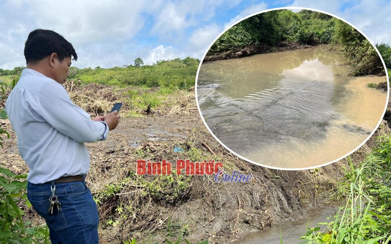 Ô nhiễm từ trại nuôi heo ở Lộc Điền đã giảm