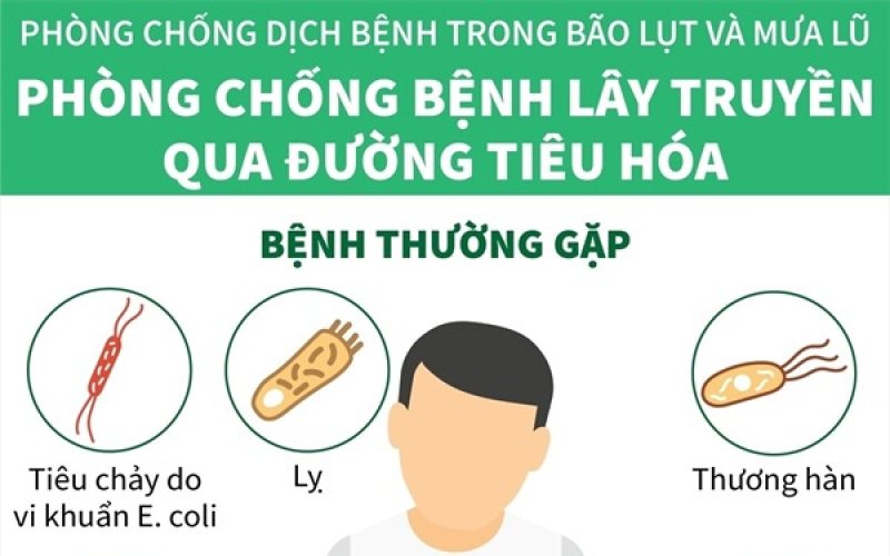 Ph&ograve;ng chống bệnh l&acirc;y truyền qua đường ti&ecirc;u h&oacute;a