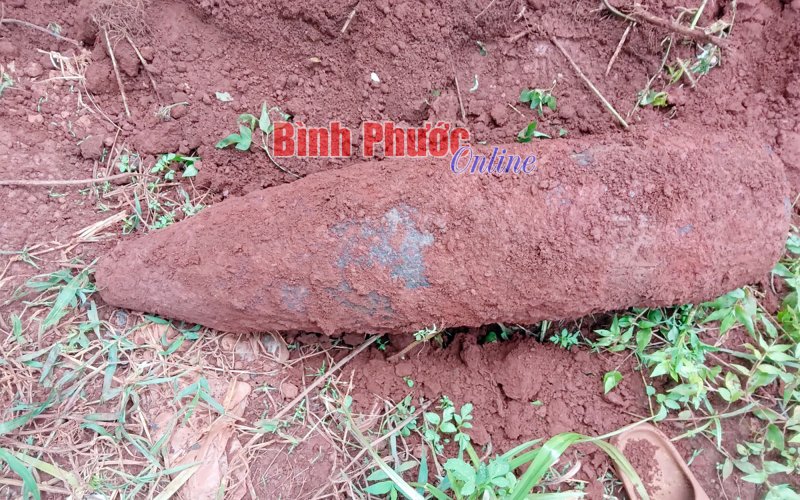 Phú Riềng: Phát hiện đầu đạn pháo 175mm trong vườn nhà dân