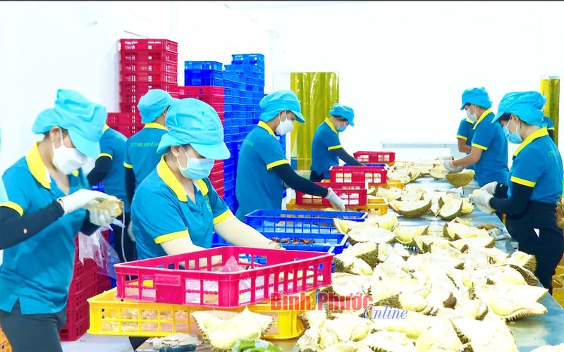 Trụ đỡ nông nghiệp