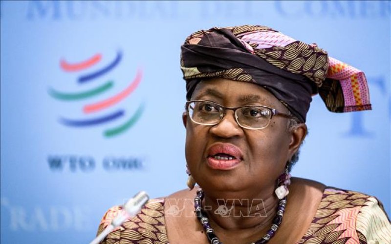 Ưu tiên sắp tới của WTO sẽ là an ninh lương thực