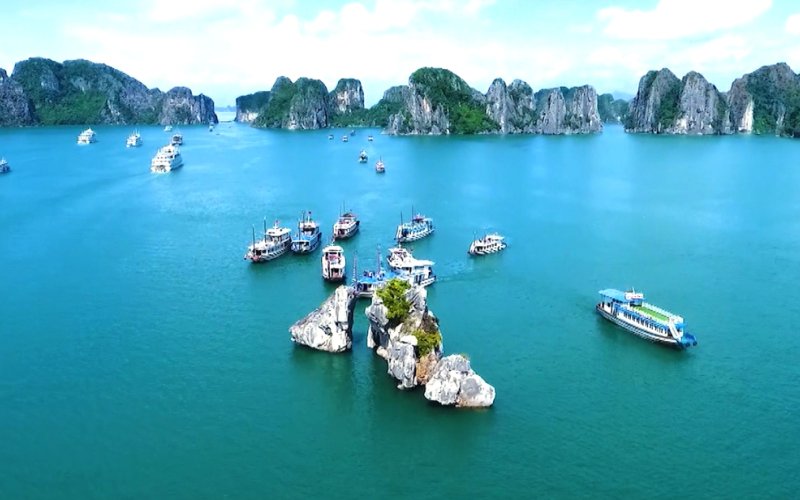 Bảo tồn h&ograve;n Trống M&aacute;i, Vịnh Hạ Long