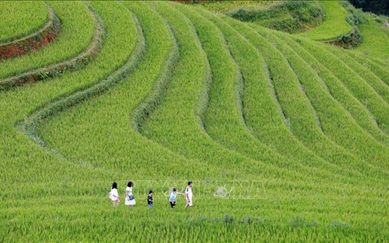 'Bức tranh' kiệt t&aacute;c ruộng bậc thang M&ugrave; Cang Chải