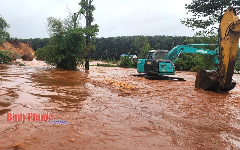 Chơn Thành: Hơn 100 ha cây trồng và nhiều vật nuôi bị ngập