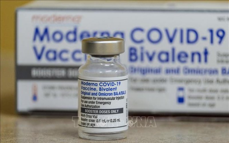 COVID-19: Vaccine cải tiến của Moderna, Pfizer có hiệu quả cao trong ngừa biến thể BA.2.86
