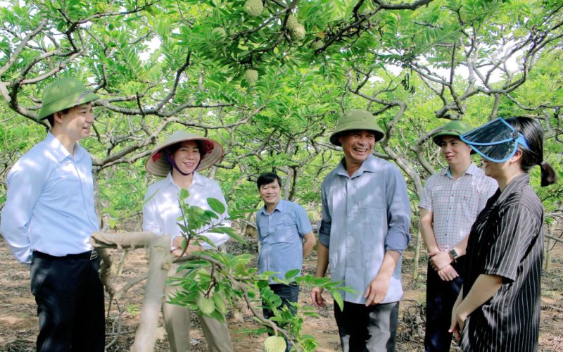 Đông Triều vào mùa na chín