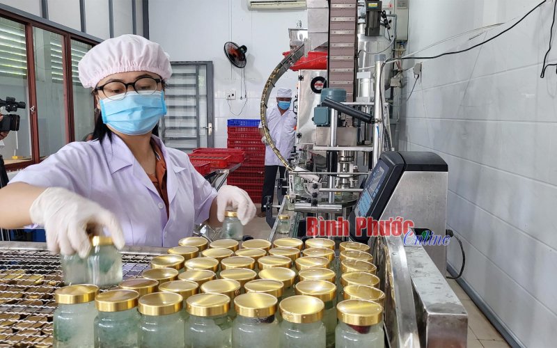 Mô hình thiết thực hỗ trợ phụ nữ khó khăn