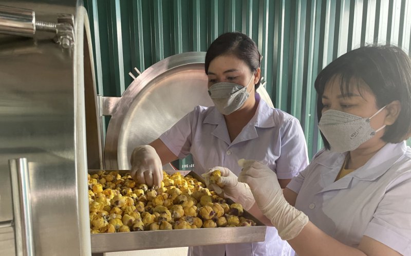 Nông nghiệp đô thị: Mở ra hướng sản xuất mới