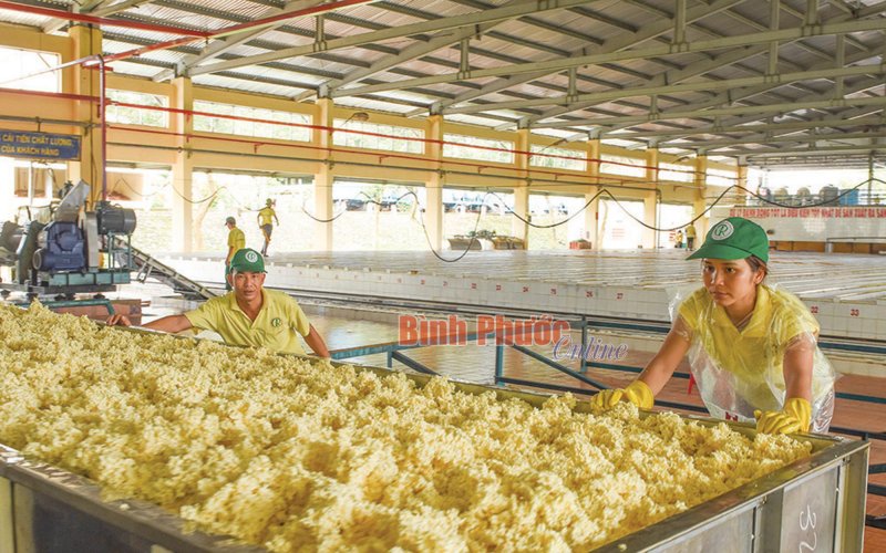 Phát triển bền vững, đưa thương hiệu vươn xa