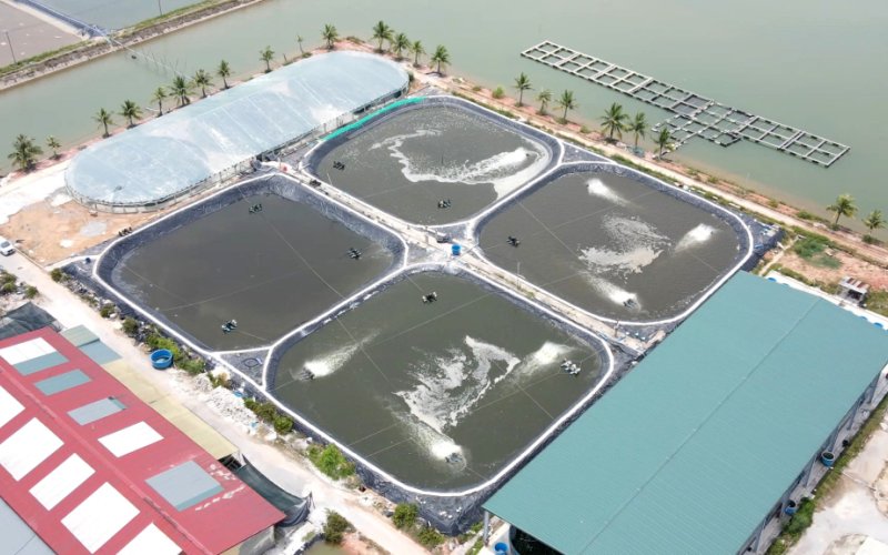 Phát triển nông nghiệp đô thị