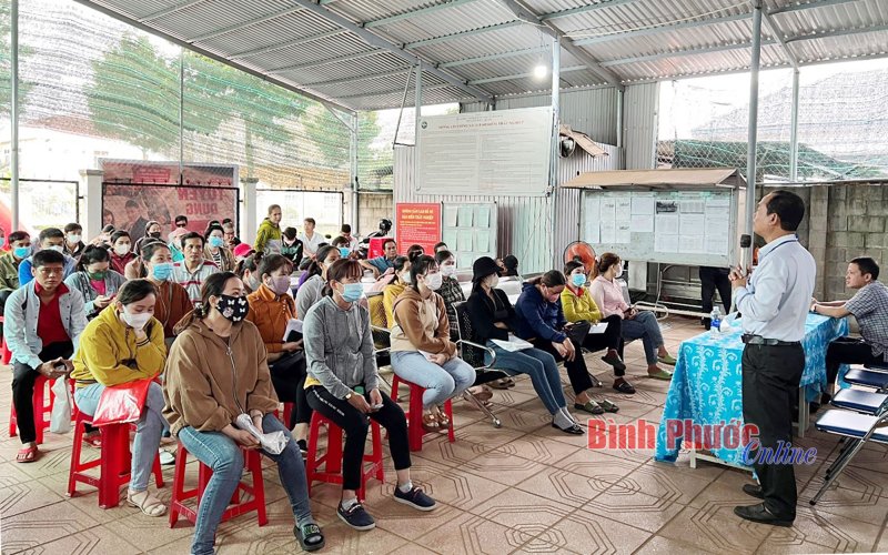 Phiên giao dịch việc làm gắn kết doanh nghiệp và người lao động