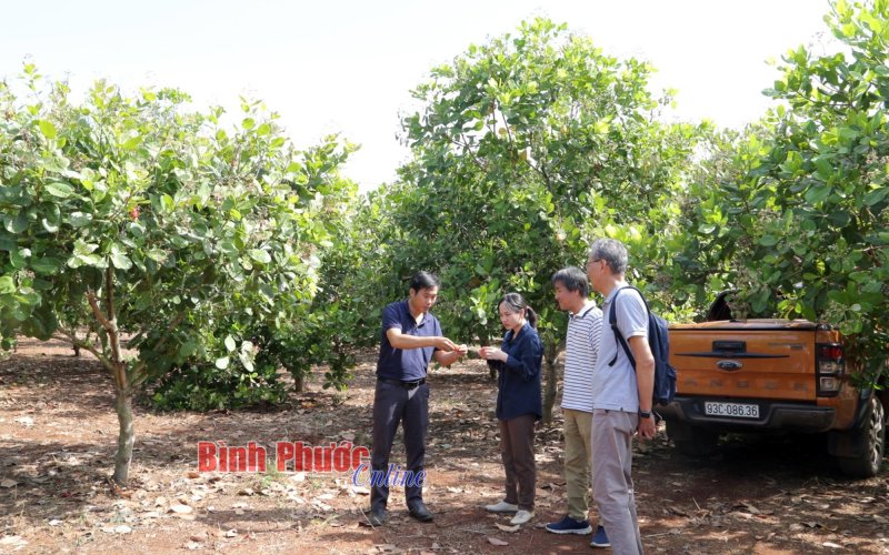 Tăng cường hợp tác quốc tế trong nông nghiệp