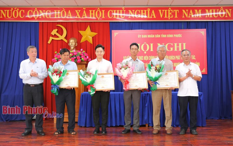 Tạo điều kiện tốt cho các đơn vị, doanh nghiệp, hợp tác xã thực hiện liên kết