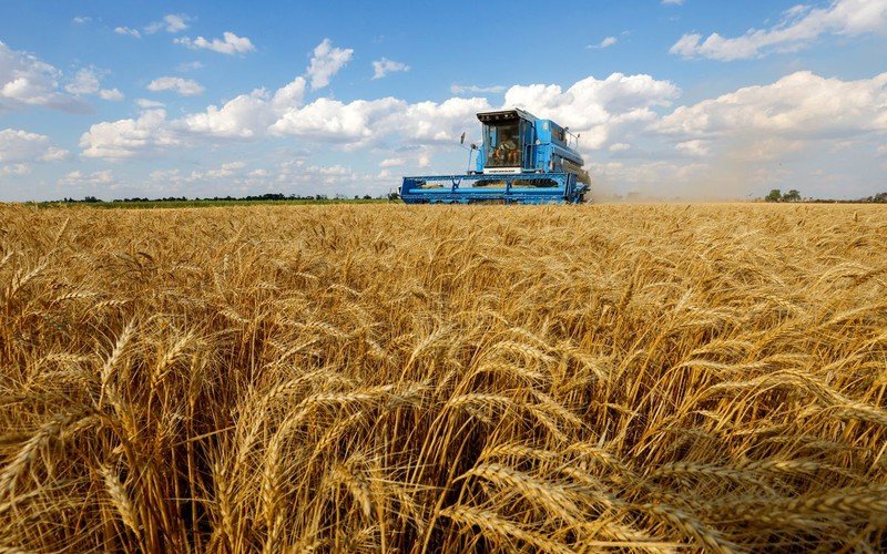 Thị trường nông sản phục hồi mạnh