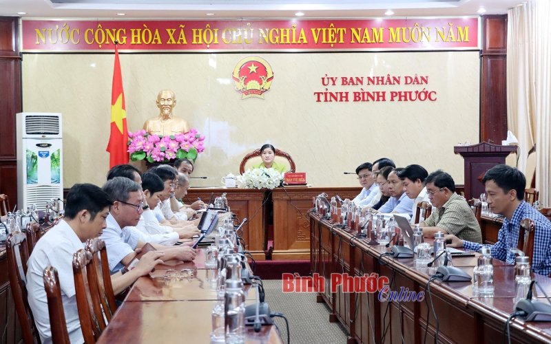 Tiếp tục cho ý kiến kết quả rà soát hệ thống văn bản quy phạm pháp luật