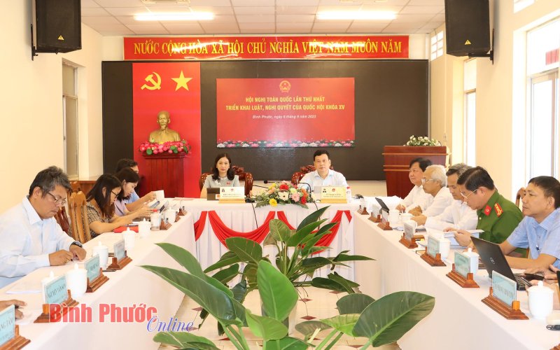 Hội nghị toàn quốc lần thứ nhất triển khai luật, nghị quyết của Quốc hội khóa XV