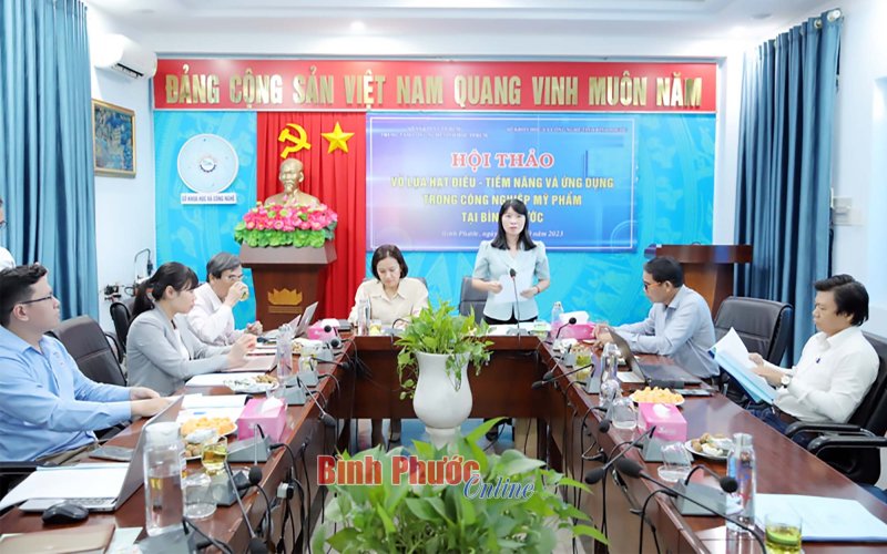 Vỏ lụa hạt điều - tiềm năng và ứng dụng trong công nghiệp mỹ phẩm