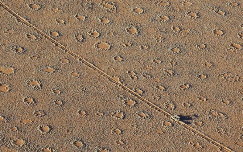 'Vòng tròn thần tiên' bí ẩn xuất hiện ở hàng trăm địa điểm trên Trái Đất