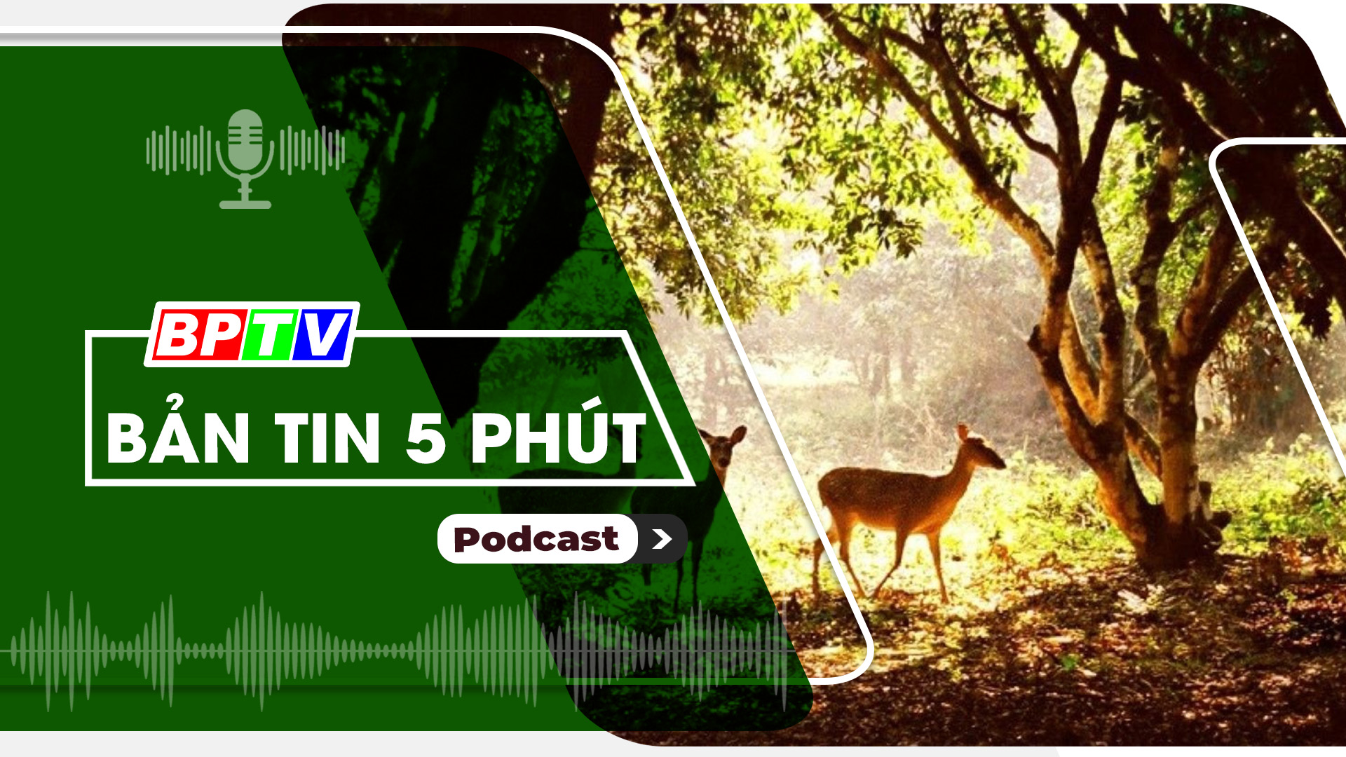 5 phút trưa nay 4-9-2024