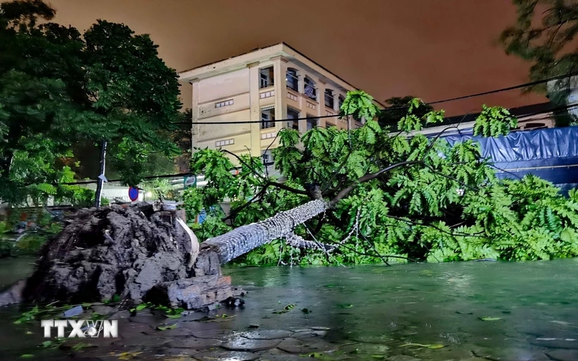 Bão số 3 đã làm 9 người chết và 187 người bị thương