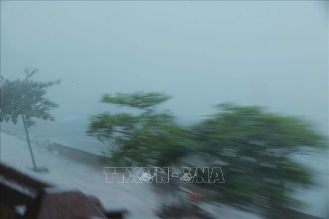 Bão số 3 giật cấp 16 trên vùng ven biển Quảng Ninh - Hải Phòng