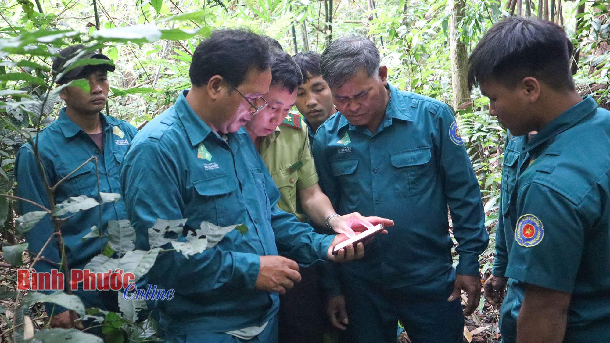 Chung sức giữ rừng